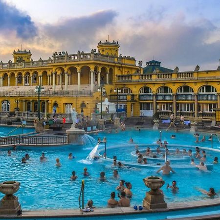Apartament Varosliget Apartman Budapeszt Zewnętrze zdjęcie